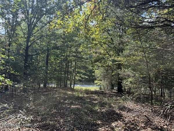 6.4 Acres of Residential Land for Sale in Byhalia, Mississippi