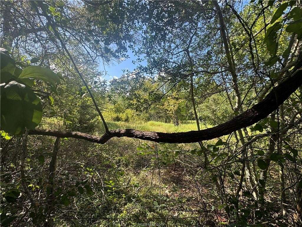 7.36 Acres of Land for Sale in Brenham, Texas