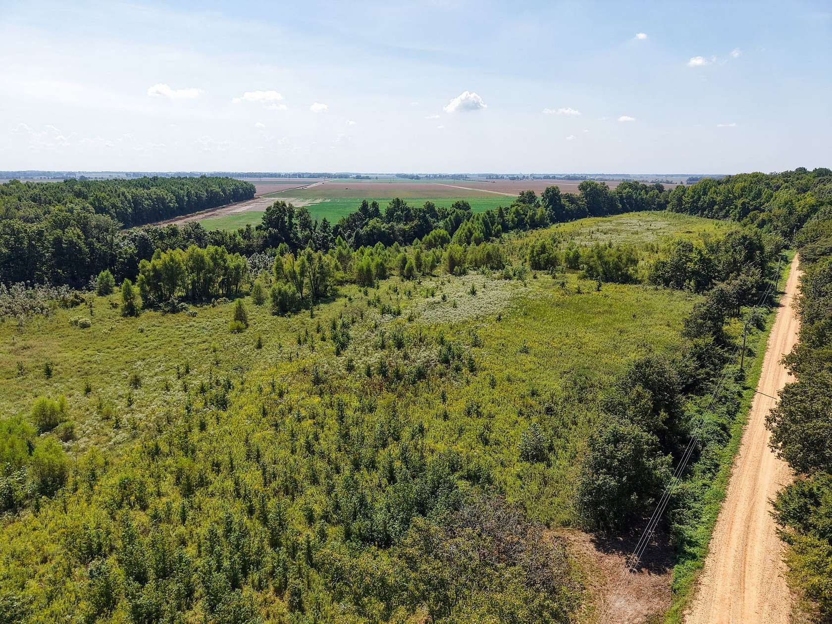 20 Acres of Land for Sale in Bloomfield, Missouri
