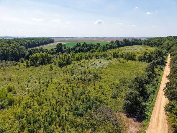 20 Acres of Land for Sale in Bloomfield, Missouri