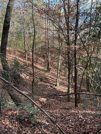 21 Acres of Recreational Land for Sale in Independence, Alabama