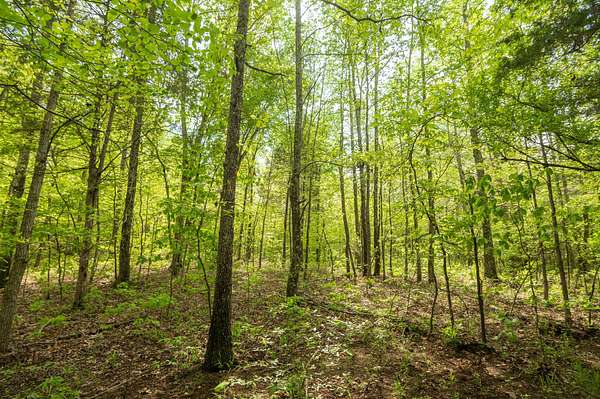 80 Acres of Land with Home for Sale in Zalma, Missouri
