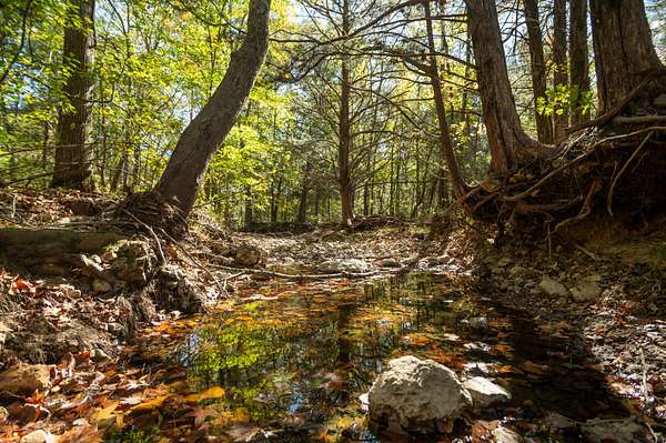 80 Acres of Land with Home for Sale in Zalma, Missouri