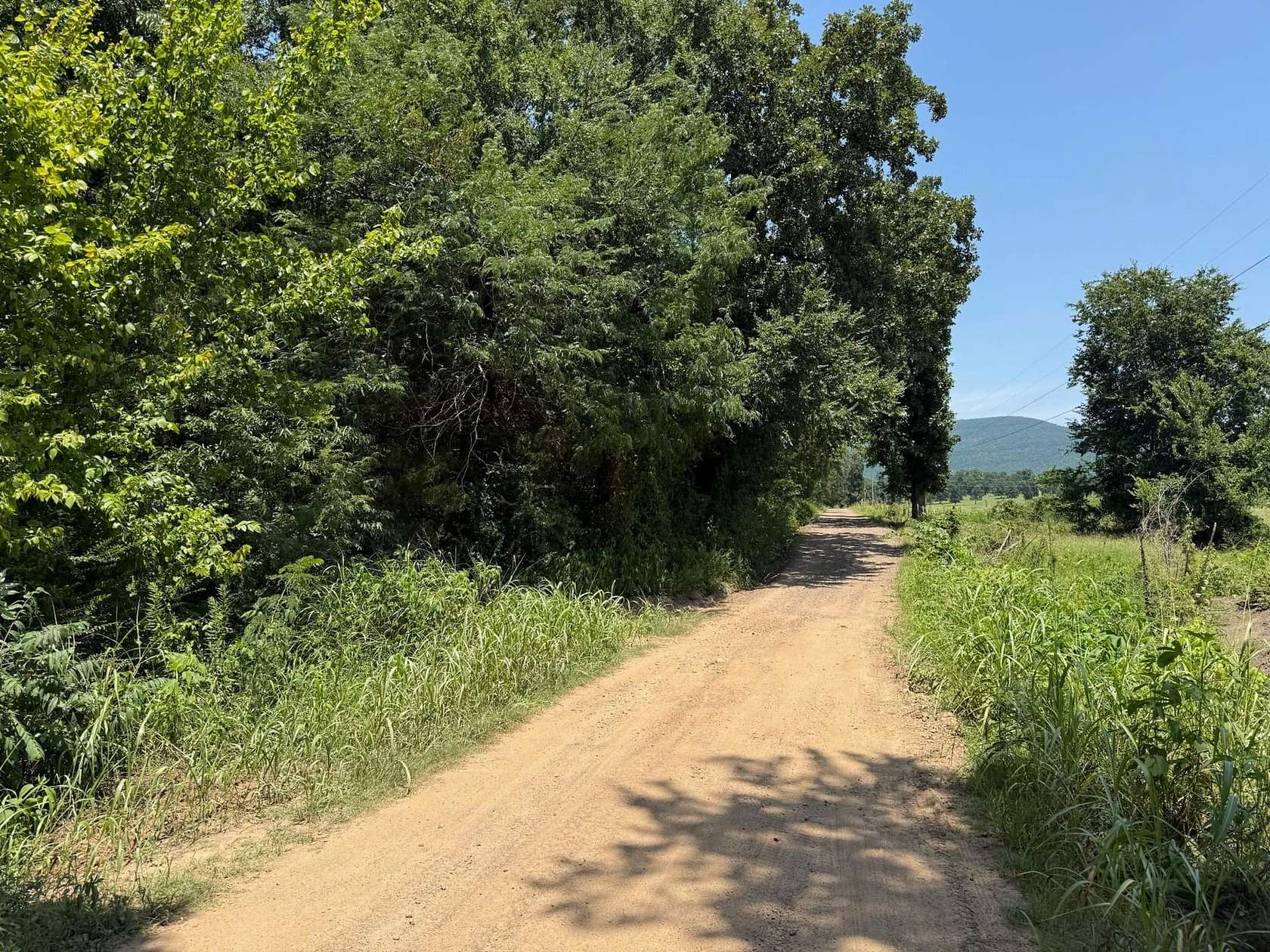 160 Acres of Recreational Land for Auction in Waldron, Arkansas