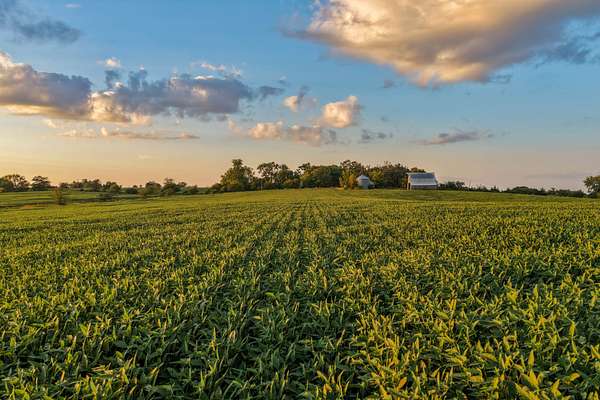 136 Acres of Land for Sale in Prescott, Iowa