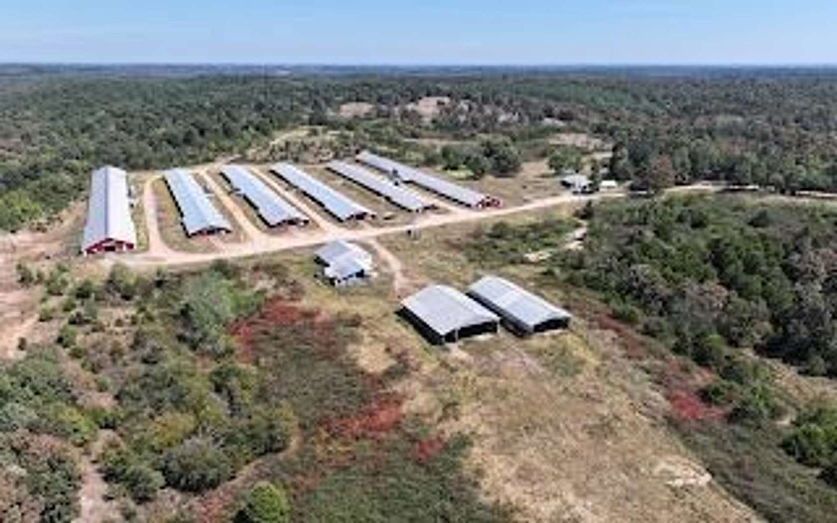 125 Acres of Improved Agricultural Land for Sale in Cave City, Arkansas