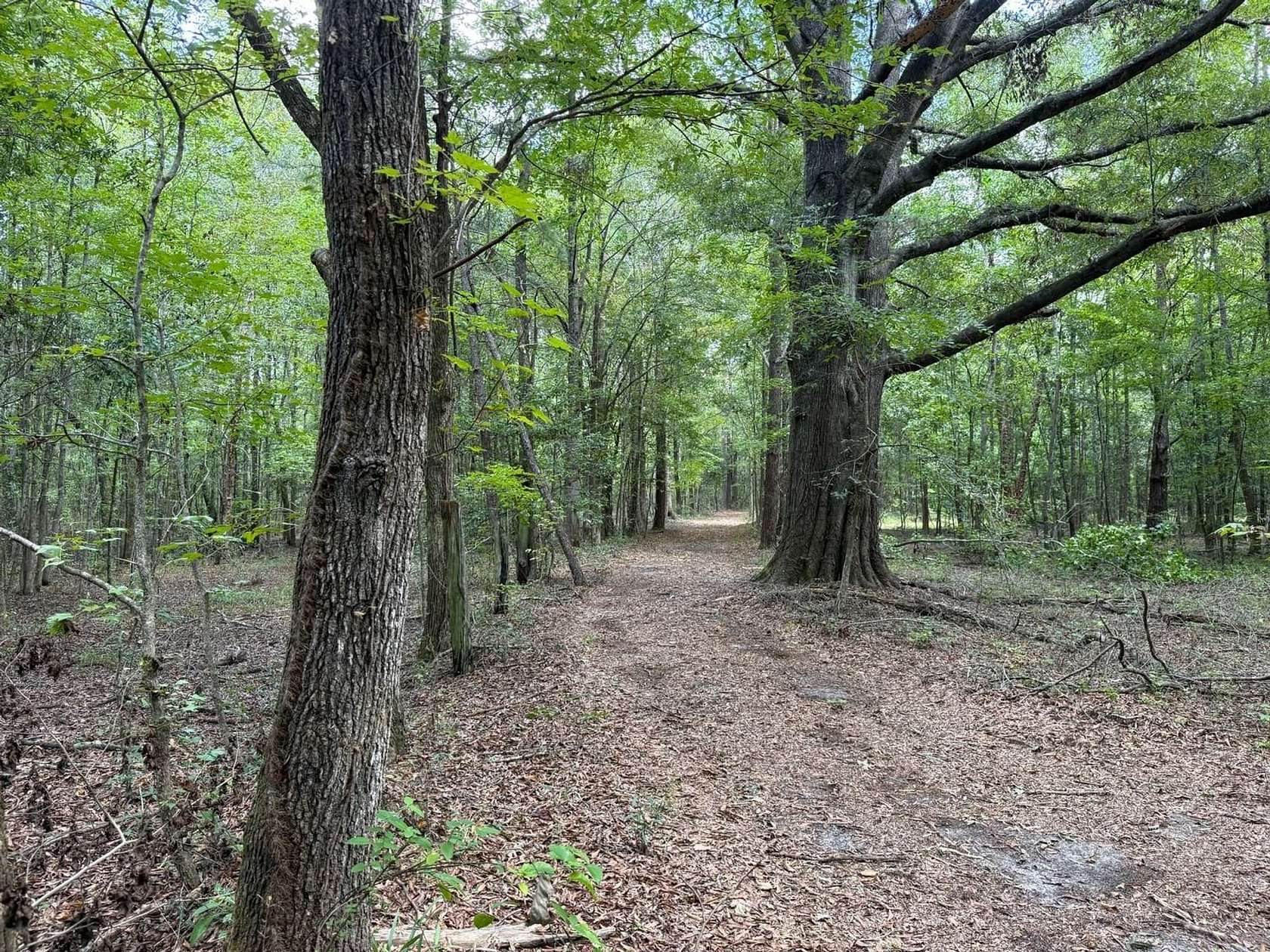 40 Acres of Recreational Land for Sale in Fitzpatrick, Alabama