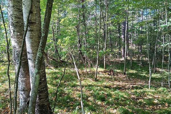 1.5 Acres of Land for Sale in Lake Tomahawk, Wisconsin