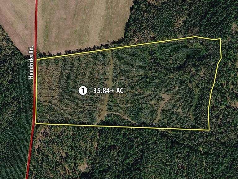35 Acres of Land for Auction in Kite, Georgia