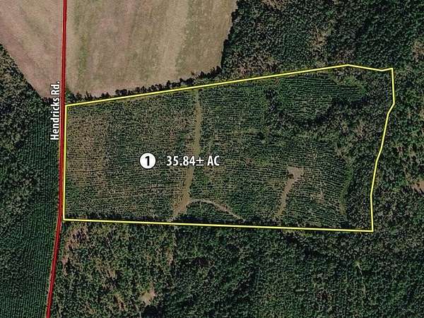 35 Acres of Land for Auction in Kite, Georgia