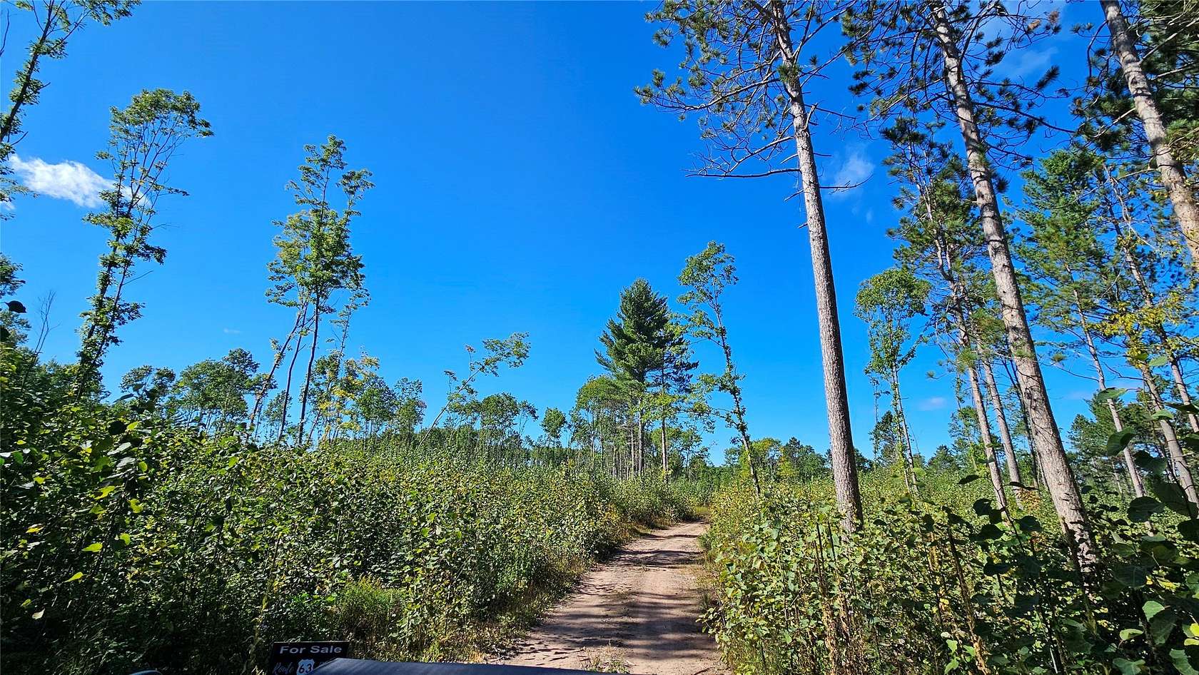 276 Acres of Recreational Land for Sale in Hayward, Wisconsin