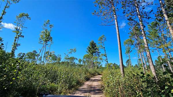 276 Acres of Recreational Land for Sale in Hayward, Wisconsin