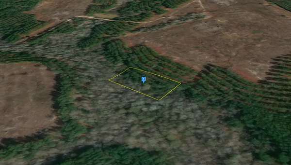 1 Acre of Residential Land for Sale in McRae-Helena, Georgia
