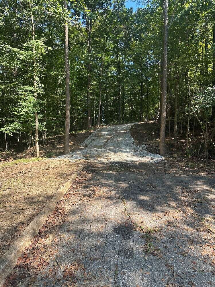 112 Acres of Recreational & Residential Land for Sale in Butler, Alabama