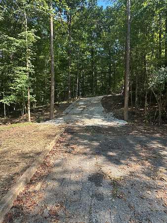112 Acres of Recreational & Residential Land for Sale in Butler, Alabama