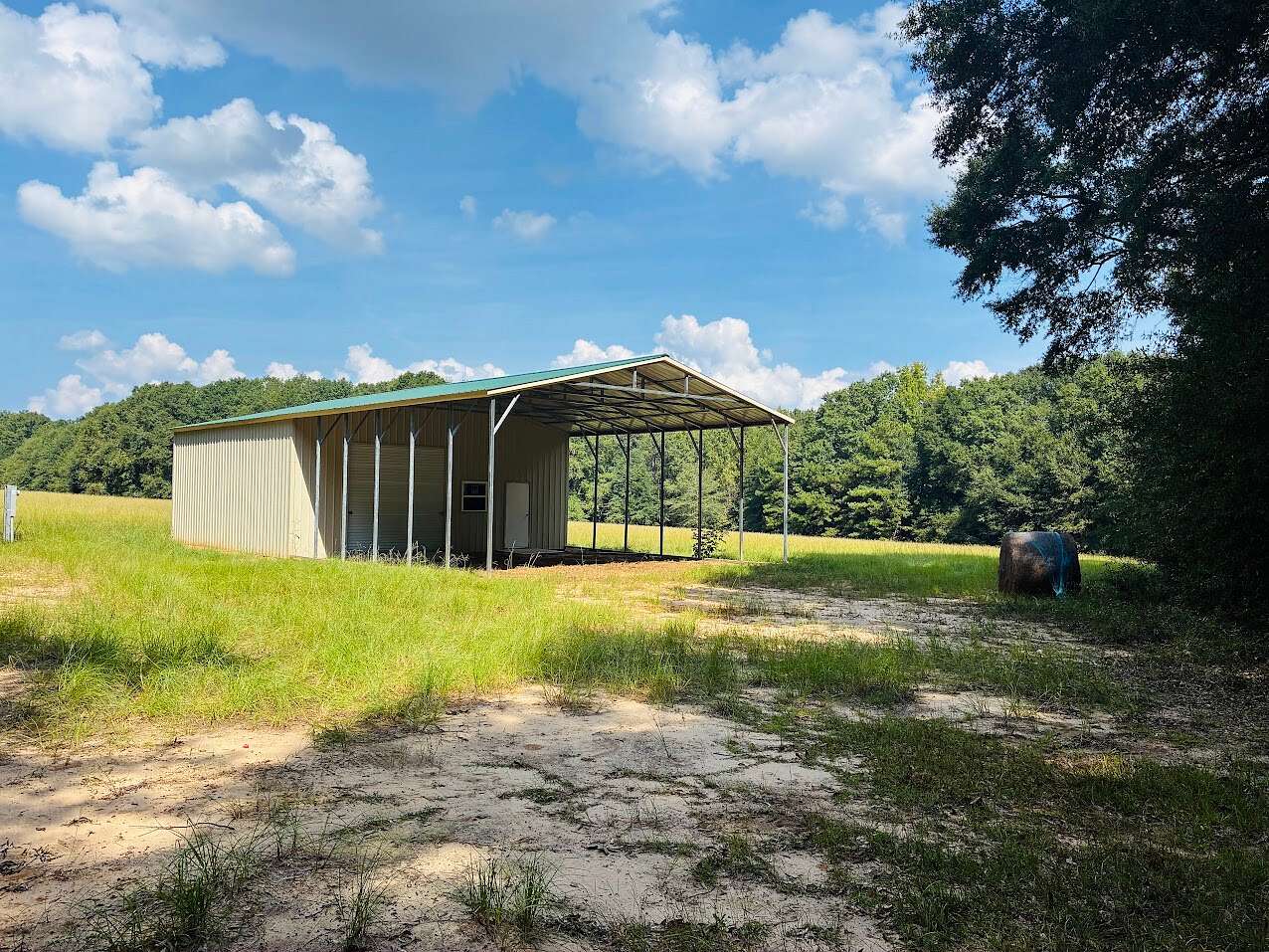 50 Acres of Recreational & Residential Land for Sale in Buena Vista, Georgia