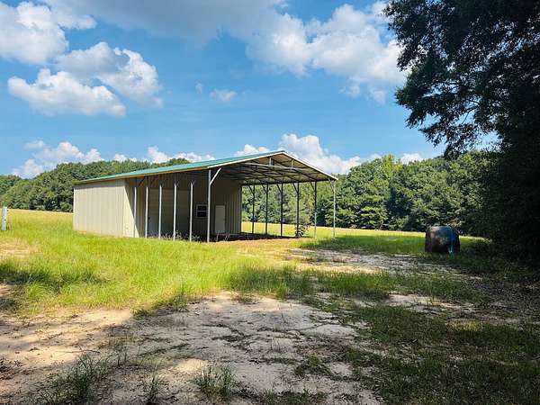50 Acres of Recreational & Residential Land for Sale in Buena Vista, Georgia
