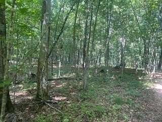 58 Acres of Land for Sale in Emily, Minnesota