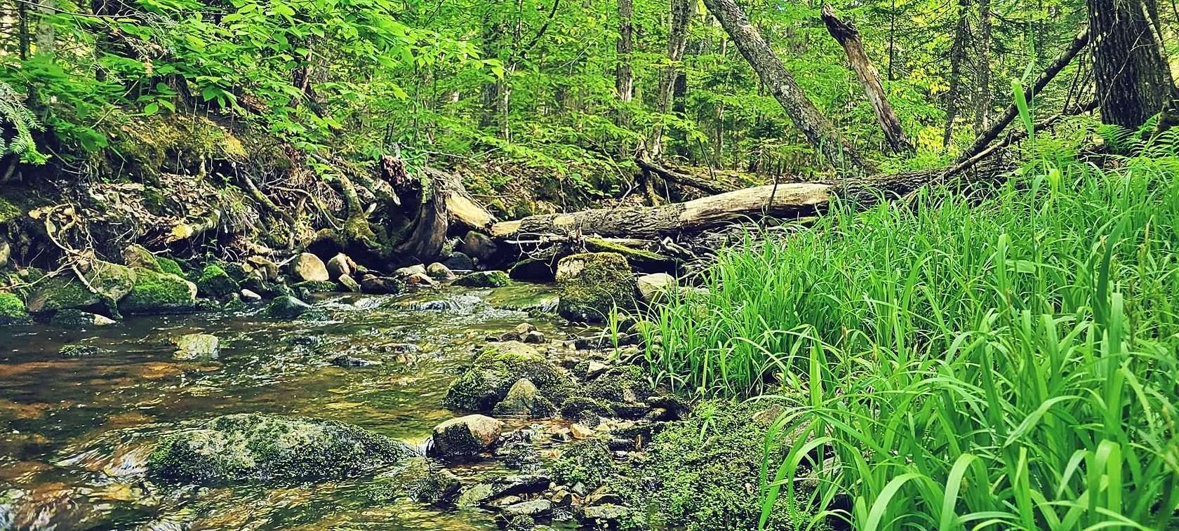 150 Acres of Recreational Land for Sale in Dannemora, New York
