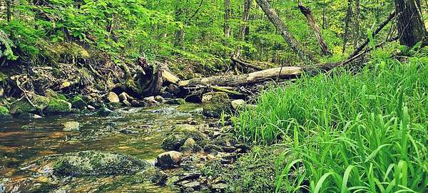 150 Acres of Recreational Land for Sale in Dannemora, New York