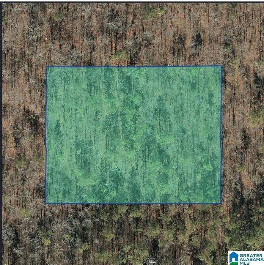1.44 Acres of Residential Land for Sale in Alpine, Alabama