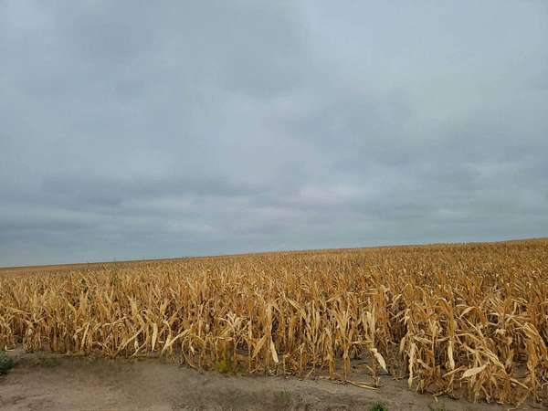 238 Acres of Agricultural & Residential Land for Sale in Smith Center, Kansas