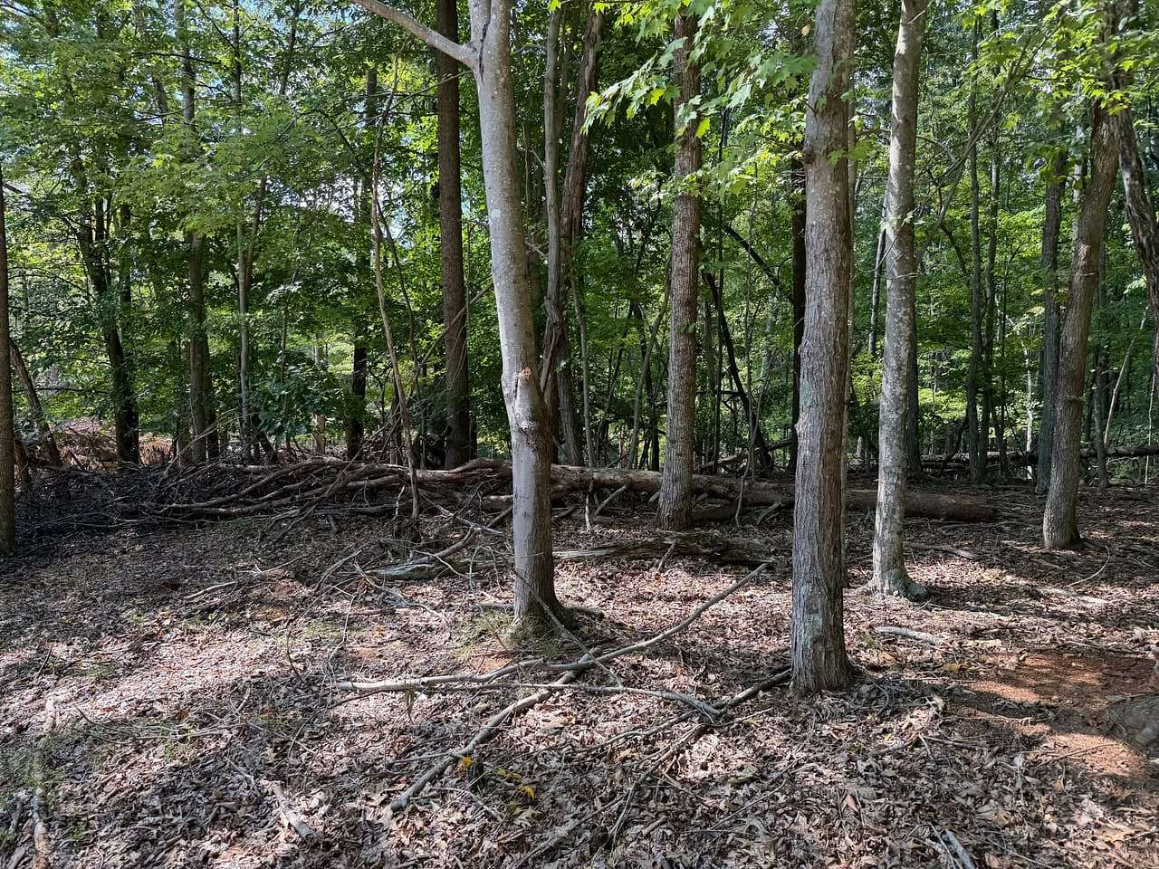 0.42 Acres of Land for Sale in Hardy, Virginia