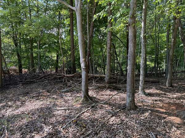 0.42 Acres of Land for Sale in Hardy, Virginia