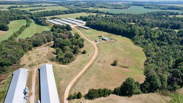 120 Acres of Improved Land for Sale in Pocahontas, Arkansas