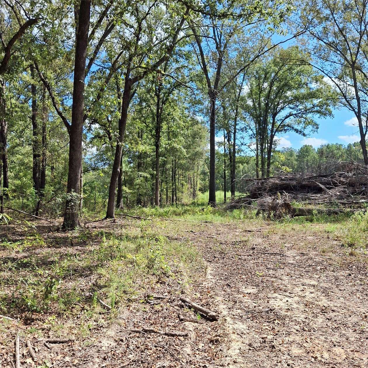 7.36 Acres of Residential Land for Sale in Elm Grove, Louisiana