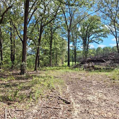7.36 Acres of Residential Land for Sale in Elm Grove, Louisiana