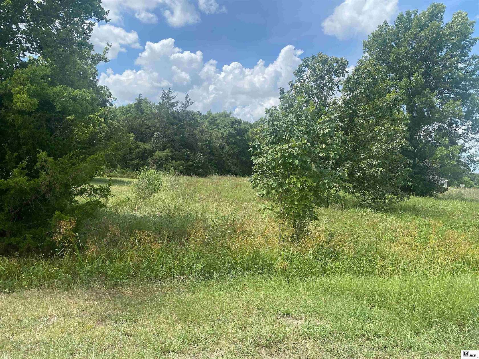 1.9 Acres of Residential Land for Sale in Rayville, Louisiana
