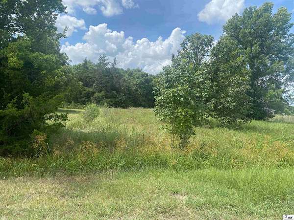 1.9 Acres of Residential Land for Sale in Rayville, Louisiana