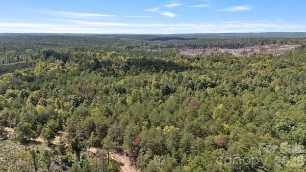 98.2 Acres of Recreational Land for Sale in York, South Carolina