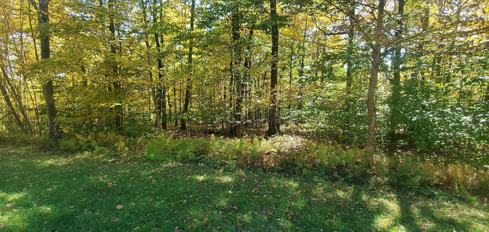 5 Acres of Residential Land for Sale in Equinunk, Pennsylvania