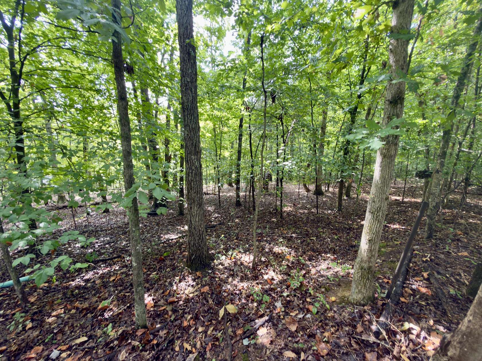 0.36 Acres of Land for Sale in Monticello, Kentucky