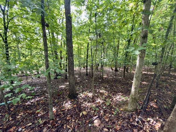 0.36 Acres of Land for Sale in Monticello, Kentucky
