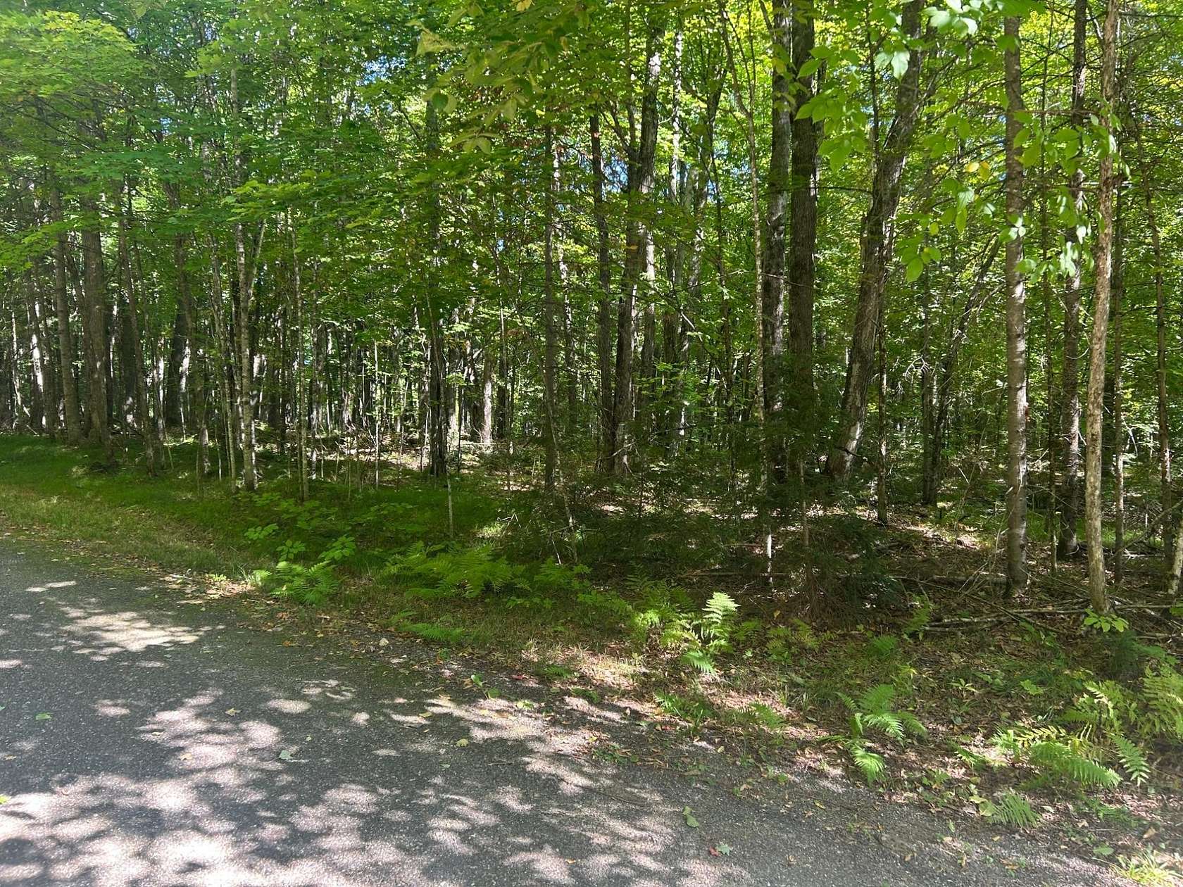 1.76 Acres of Land for Sale in Presque Isle, Wisconsin