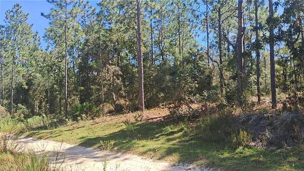 0.23 Acres of Residential Land for Sale in Ocala, Florida