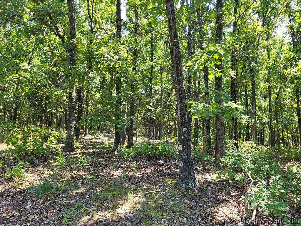 5 Acres of Residential Land for Sale in Edwards, Missouri