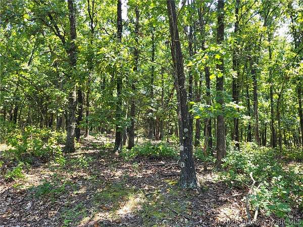 5 Acres of Residential Land for Sale in Edwards, Missouri