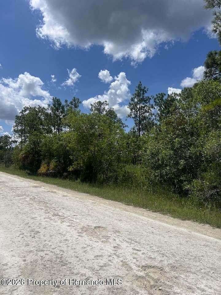 1.2 Acres of Residential Land for Sale in Weeki Wachee, Florida