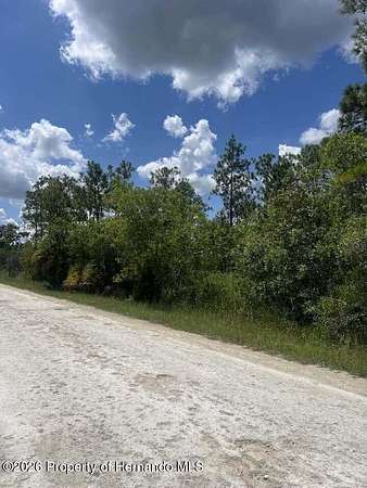 1.2 Acres of Residential Land for Sale in Weeki Wachee, Florida