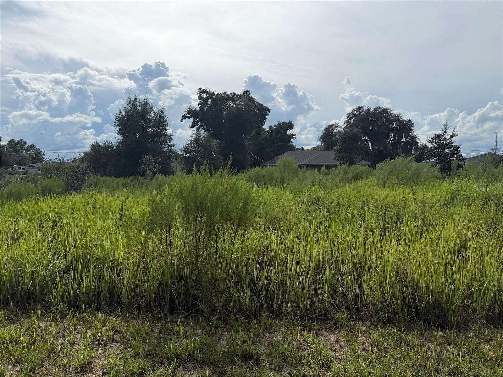 0.33 Acres of Residential Land for Sale in Ocala, Florida