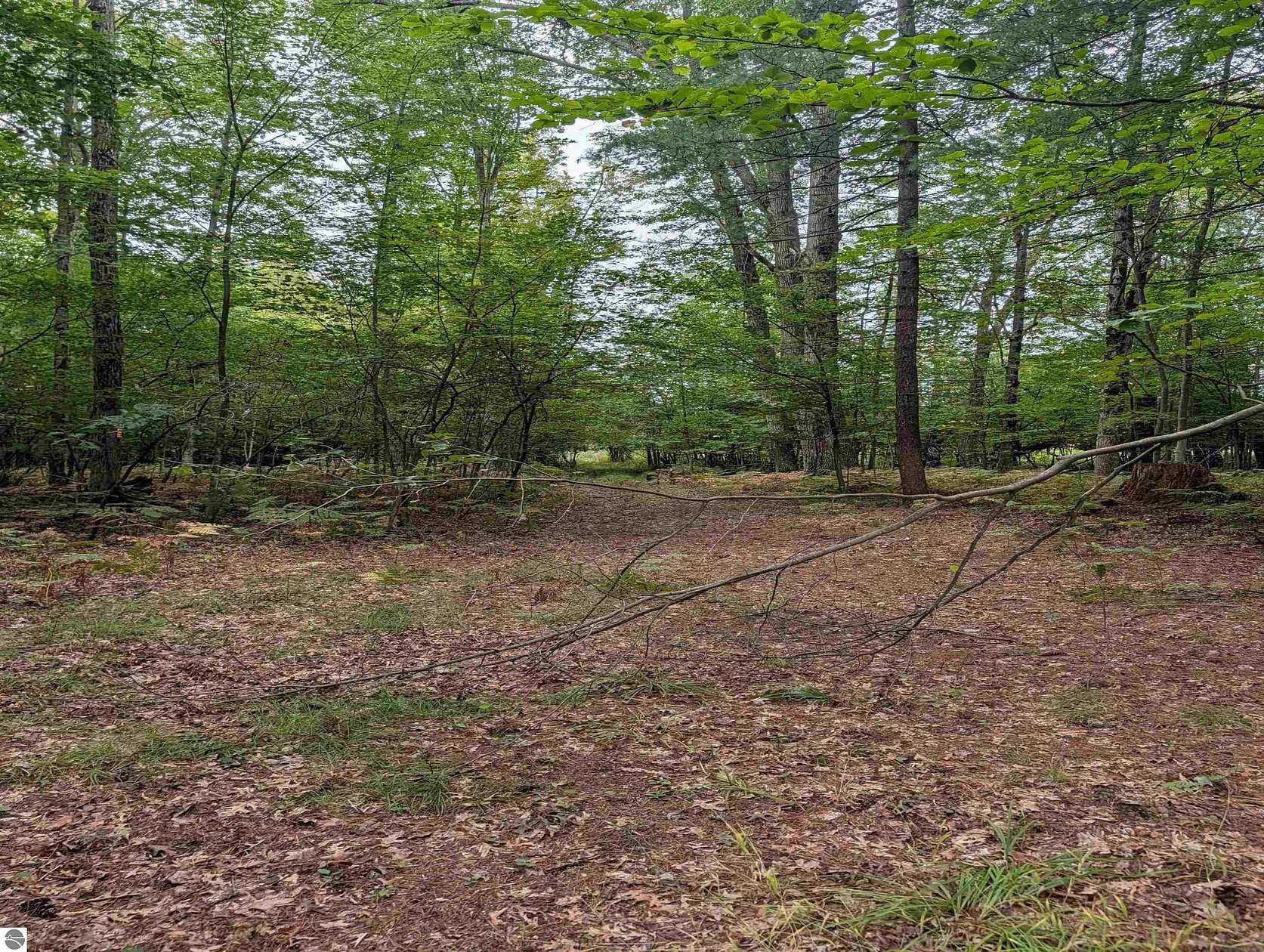 20 Acres of Recreational Land for Sale in Omer, Michigan