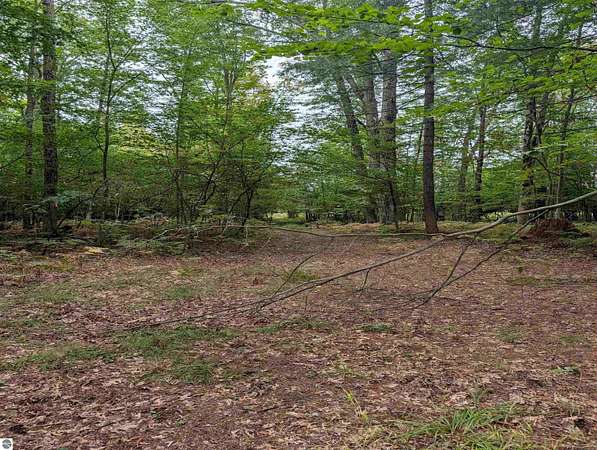 20 Acres of Recreational Land for Sale in Omer, Michigan
