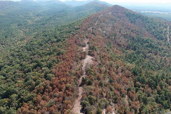 80 Acres of Recreational Land for Sale in Glenwood, Arkansas
