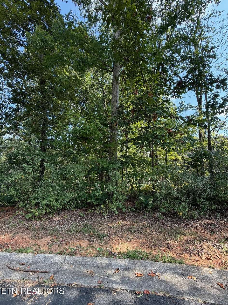 0.35 Acres of Residential Land for Sale in Loudon, Tennessee