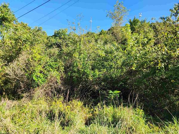 0.68 Acres of Residential Land for Sale in Stonewood, West Virginia