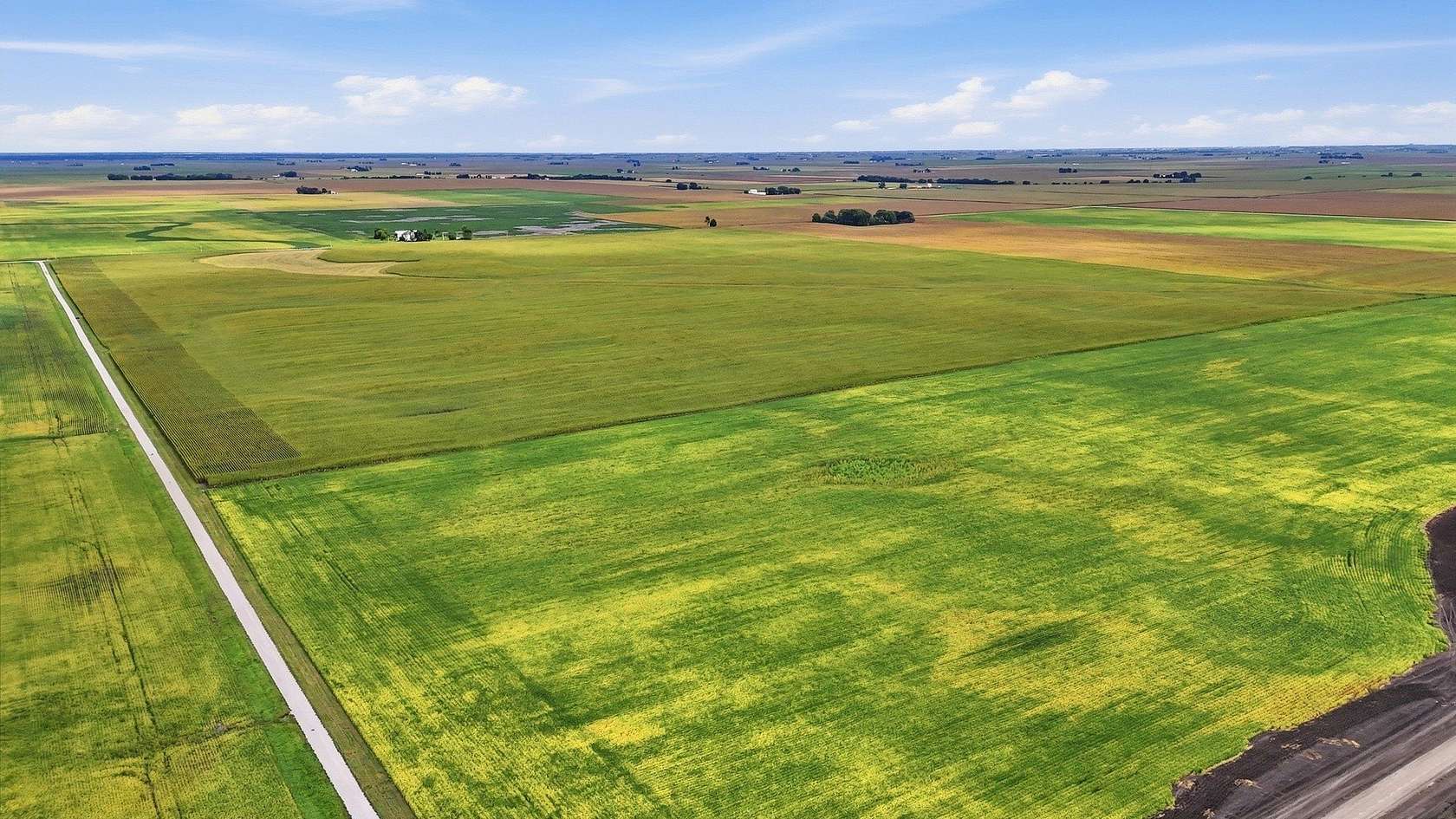 177 Acres of Agricultural Land for Sale in Dana, Illinois